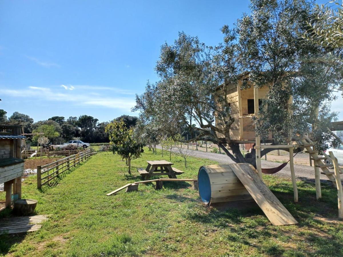Apartamento En Casa De Campo Cerca De La Playa Pals Eksteriør billede