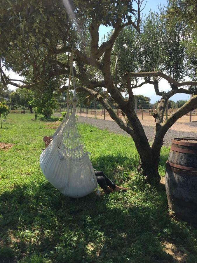 Apartamento En Casa De Campo Cerca De La Playa Pals Eksteriør billede