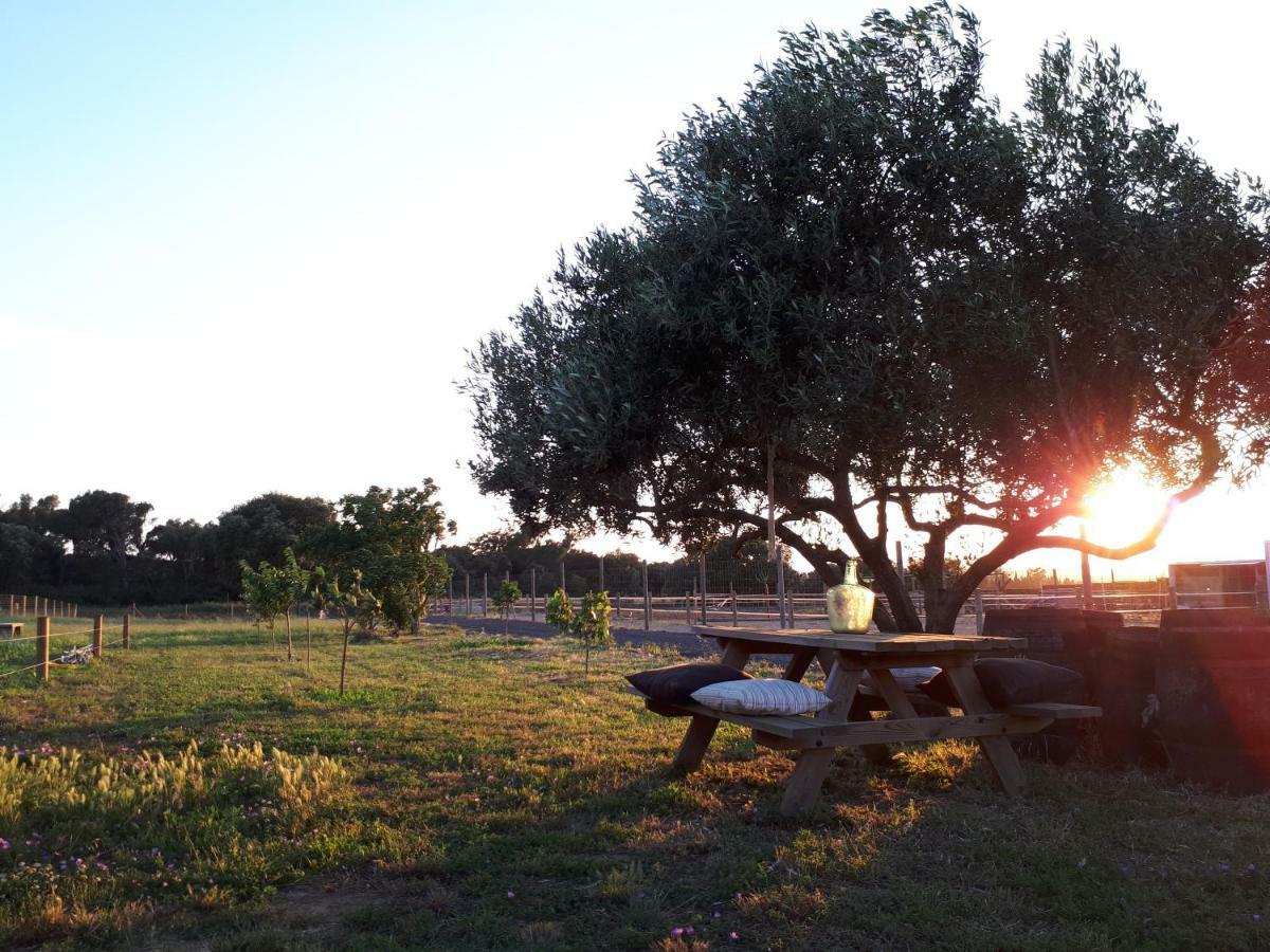 Apartamento En Casa De Campo Cerca De La Playa Pals Eksteriør billede